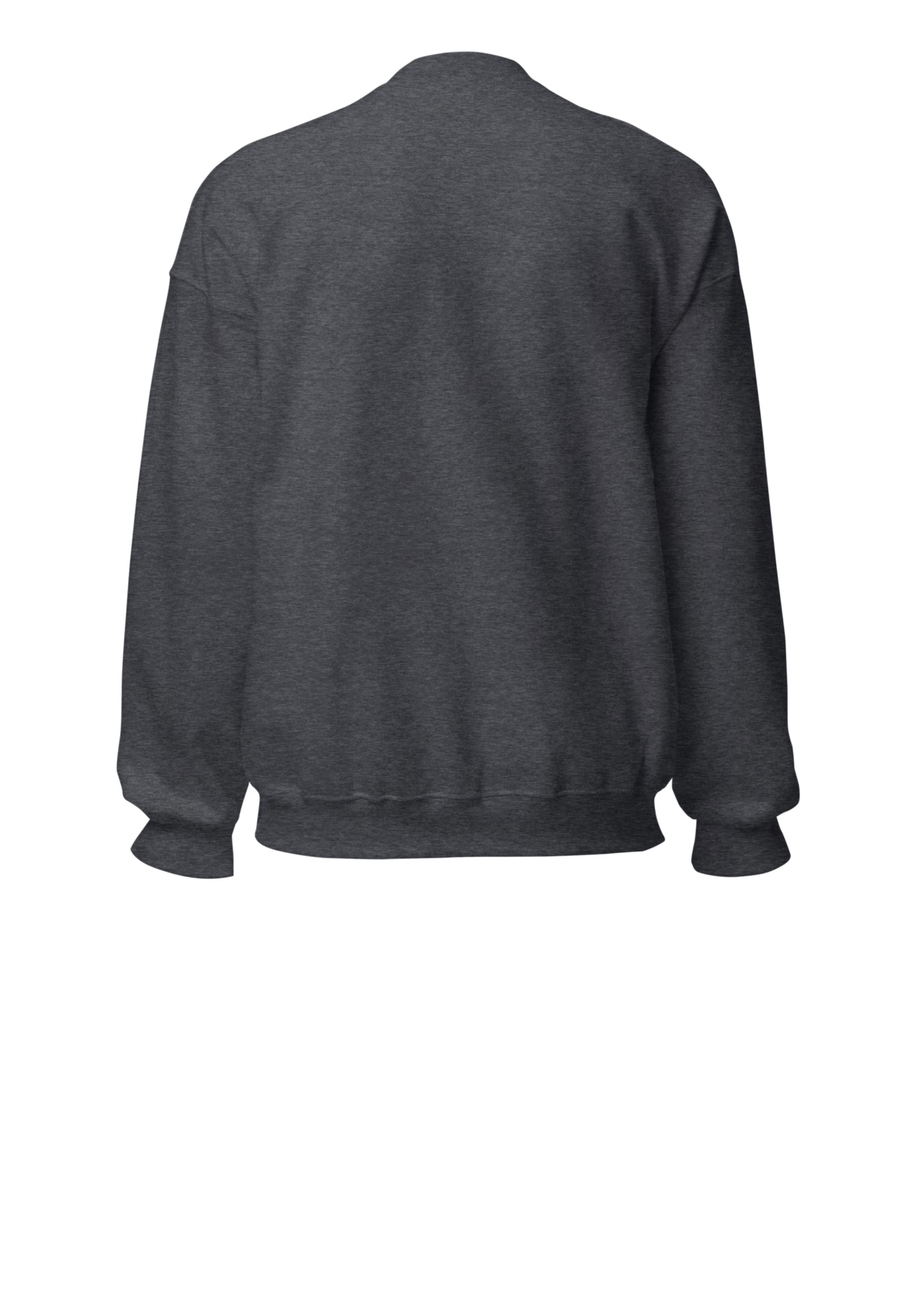 Plain Charcoal Grey Sweatshirt (Back)- Marfz.pk